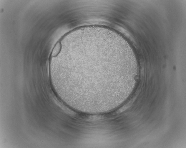 X0000074961275200609291903