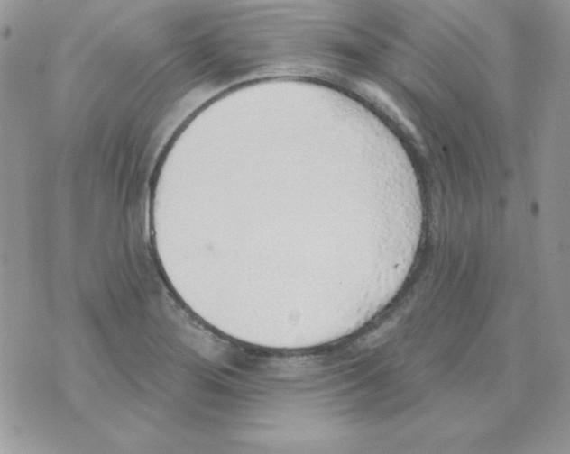 X0000074961276200609291903