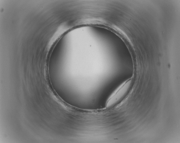 X0000074961277200609291903