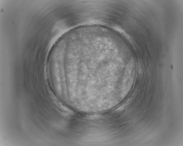 X0000074961278200609291903