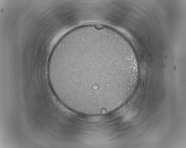 X0000074961279200609291903