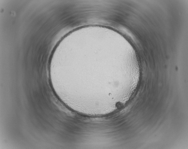 X0000074961280200609291903