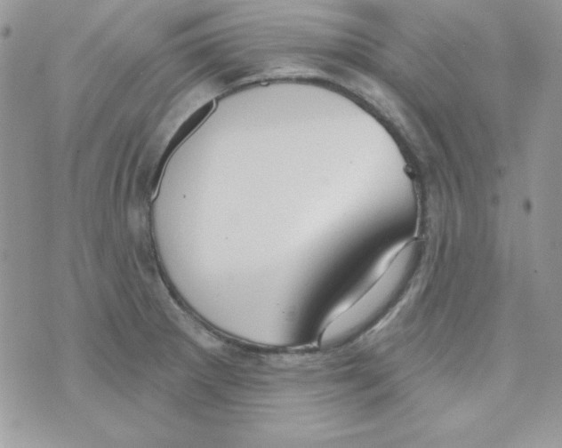 X0000074961281200609291903