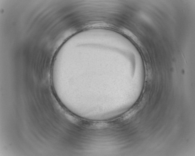 X0000074961282200609291903