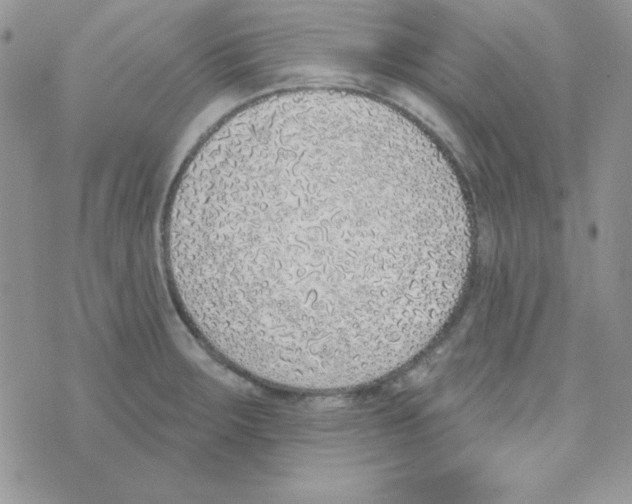 X0000074961283200609291903