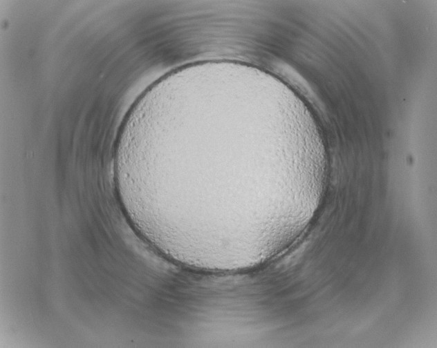 X0000074961284200609291903