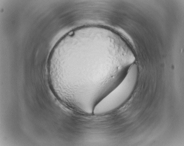 X0000074961287200609291903