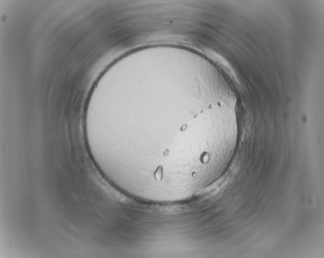 X0000074961288200609291903