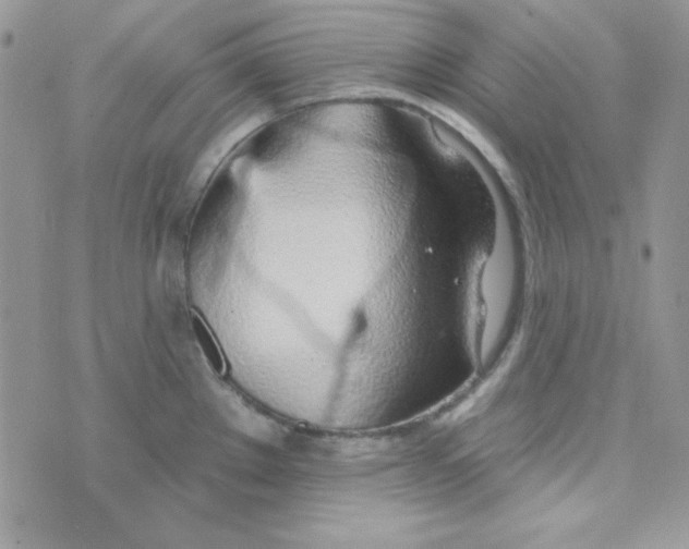 X0000074961289200609291903