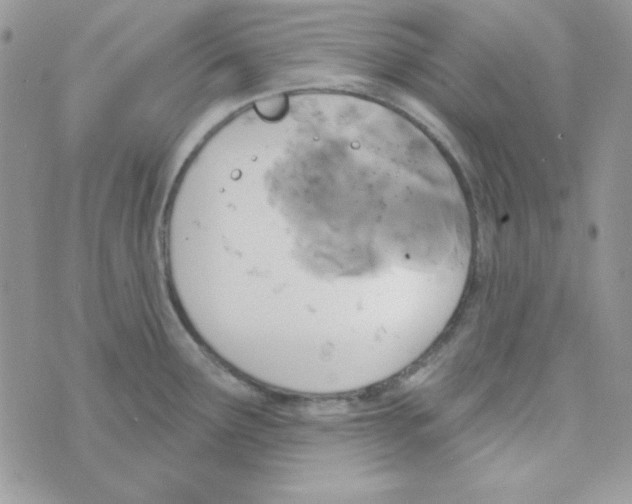 X0000074961291200609291903