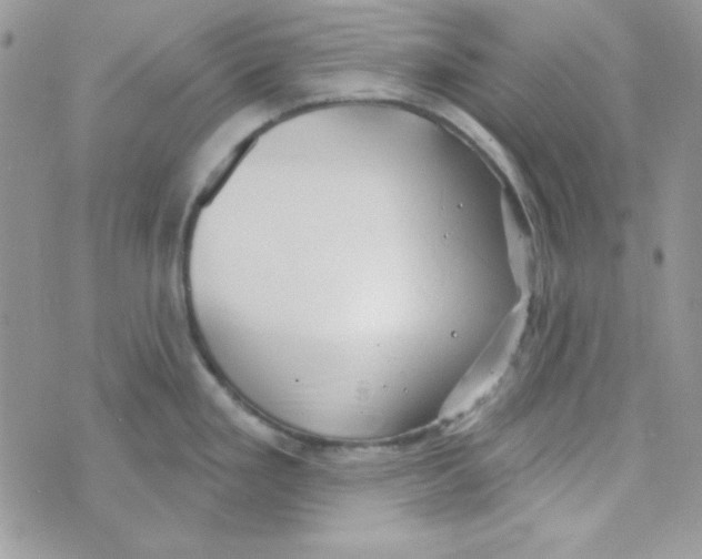 X0000074961293200609291903