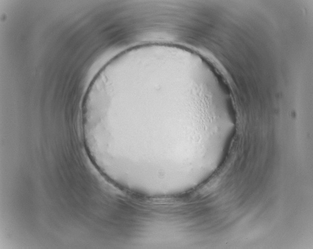 X0000074961295200609291903