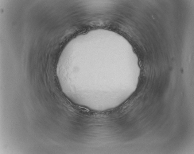 X0000074961297200609291902