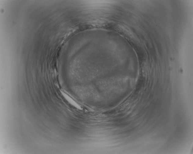 X0000074961298200609291902