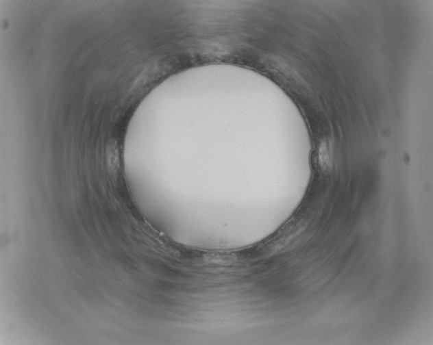 X0000074961299200609291902