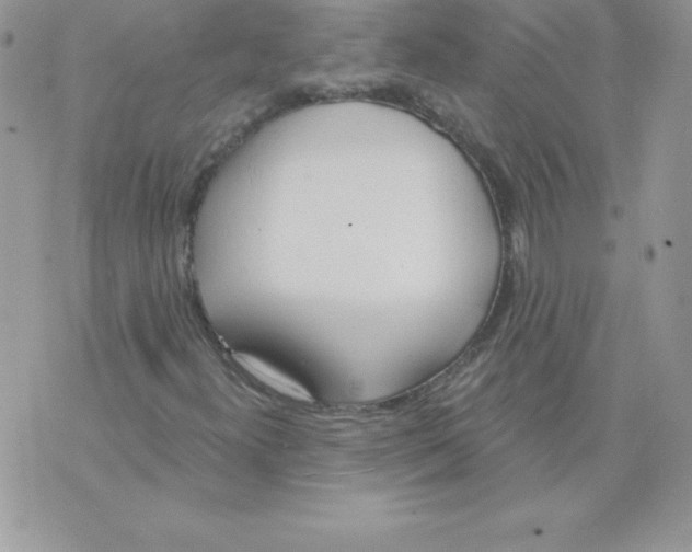 X0000074961300200609291902