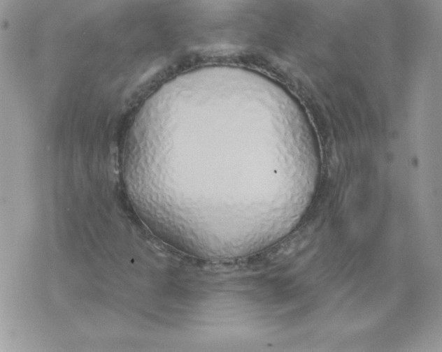 X0000074961301200609291902