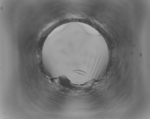 X0000074961303200609291902