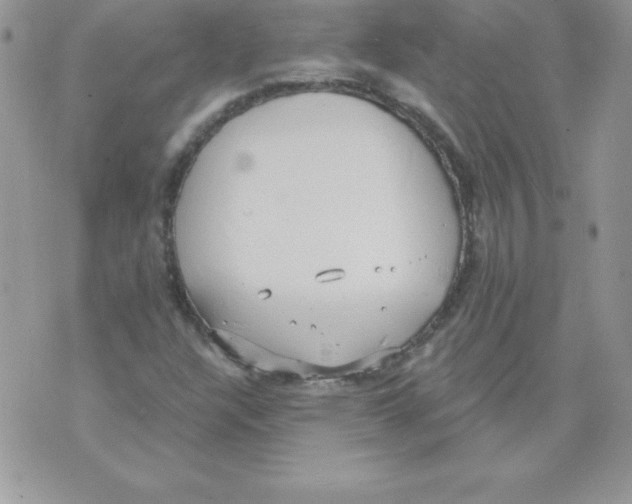 X0000074961304200609291902