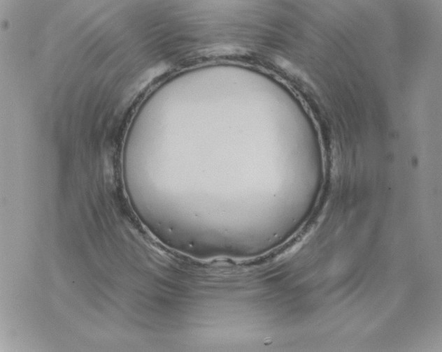 X0000074961305200609291902