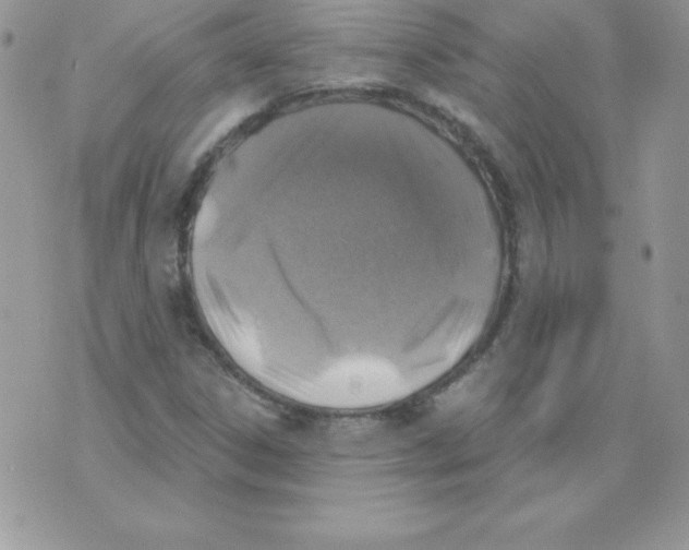 X0000074961306200609291902