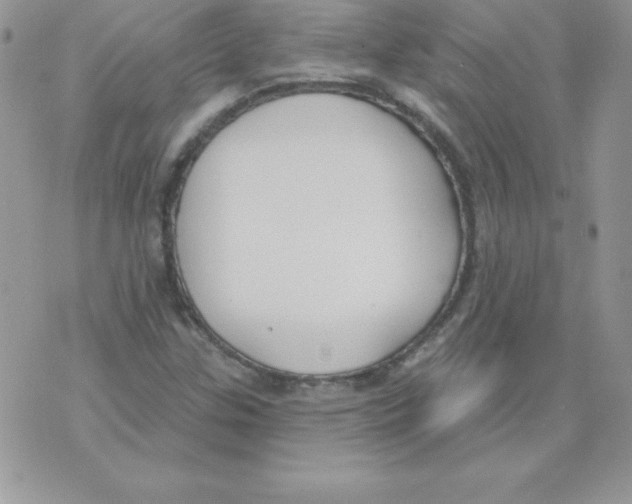 X0000074961307200609291902