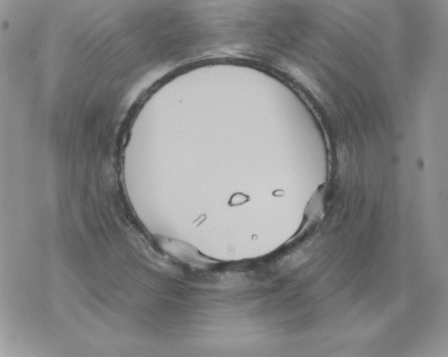 X0000074961308200609291902