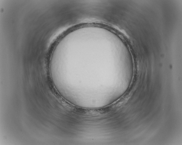 X0000074961311200609291903