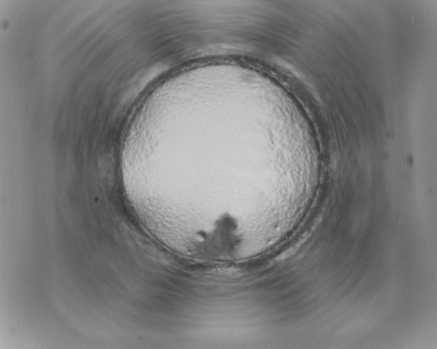 X0000074961313200609291903