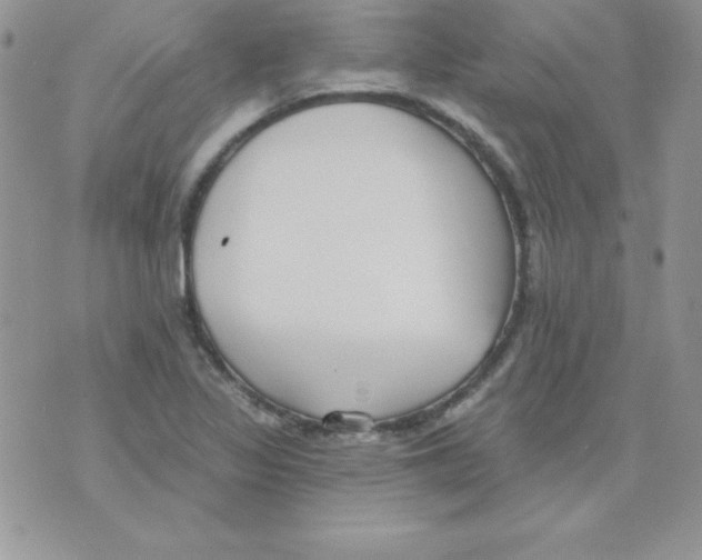 X0000074961317200609291903