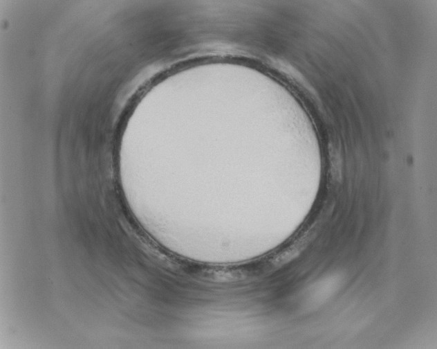 X0000074961318200609291903