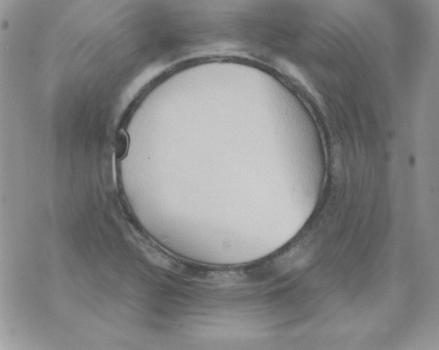 X0000074961320200609291903