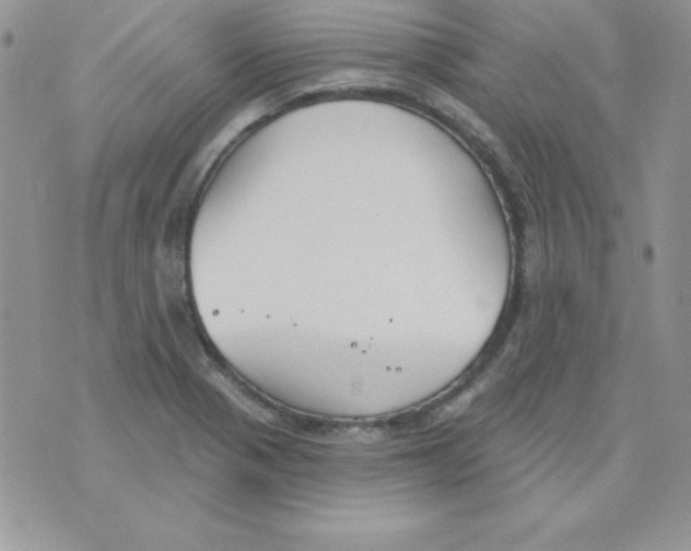 X0000074961321200609291903