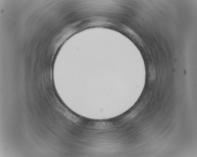 X0000074961322200609291903