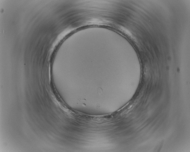 X0000074961323200609291903