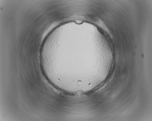 X0000074961325200609291903