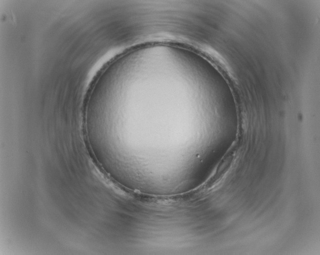 X0000074961326200609291903