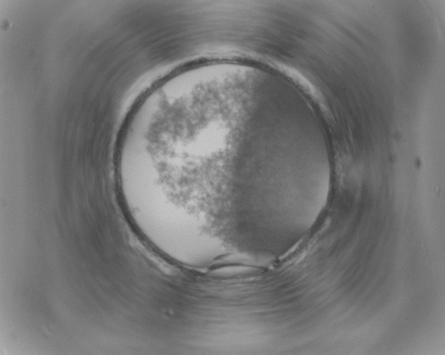 X0000074961327200609291903