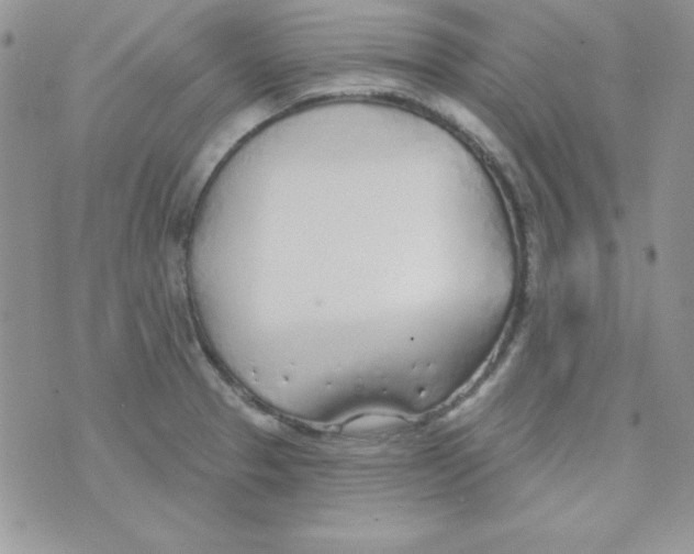 X0000074961329200609291903