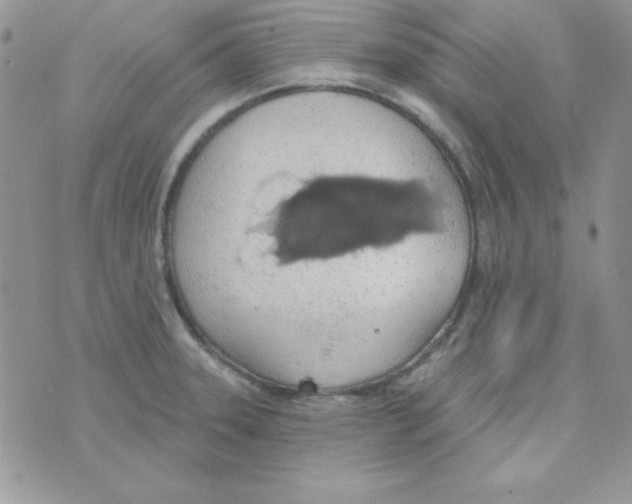 X0000074961331200609291903