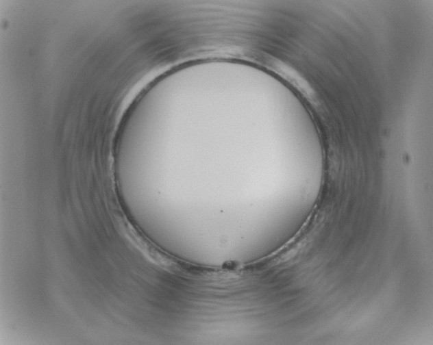 X0000074961332200609291903