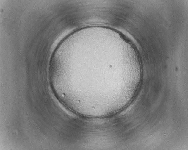 X0000074961333200609291903