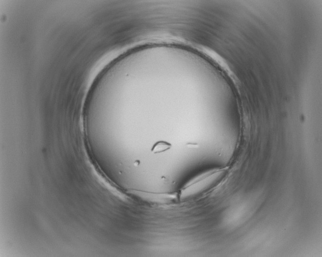 X0000074961335200609291903