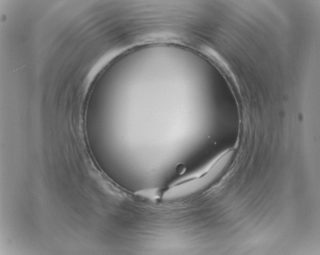 X0000074961336200609291903