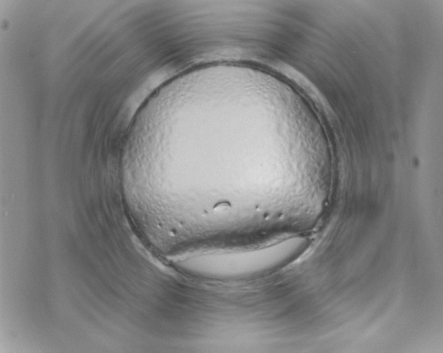 X0000074961337200609291903