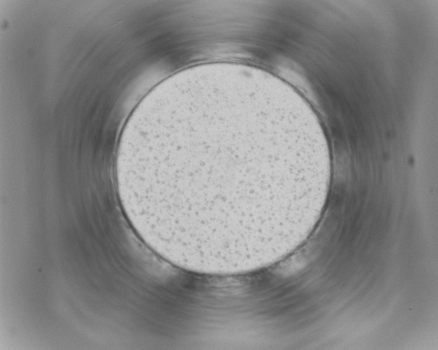 X0000074961338200609291903