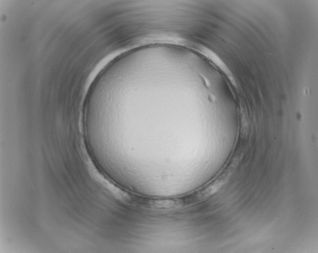 X0000074961339200609291903