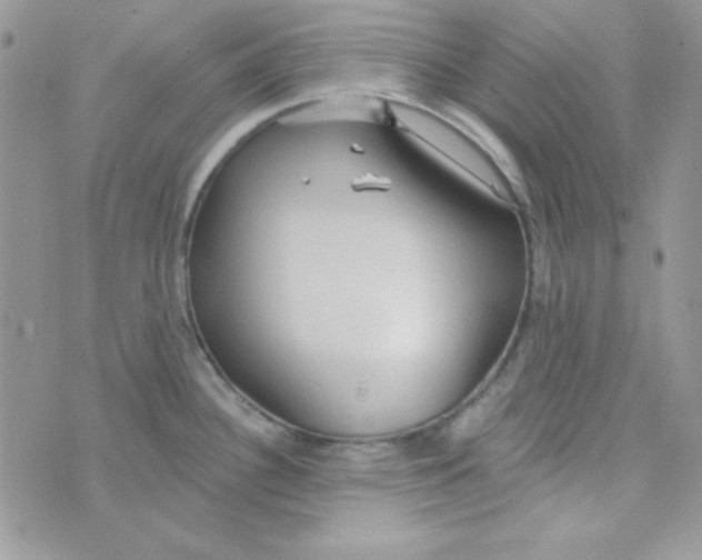 X0000074961340200609291903