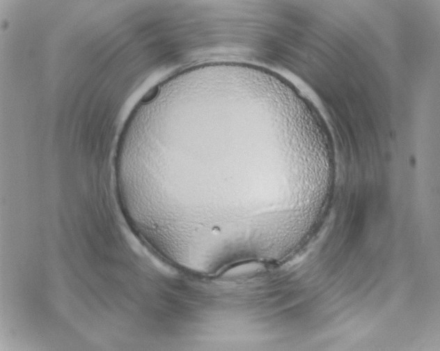 X0000074961341200609291903