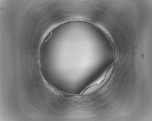 X0000074961342200609291903